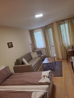 Family Studio 302, Villa park - Borovets - 0