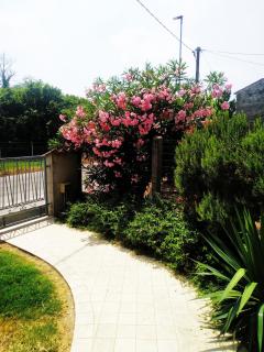 Il Tempo Dei Sogni - San Benedetto Po - 7