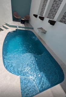 Casa Violeta - Mérida - 0