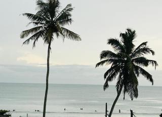 Mich's Surf Villa & Hostel - Weligama - 4