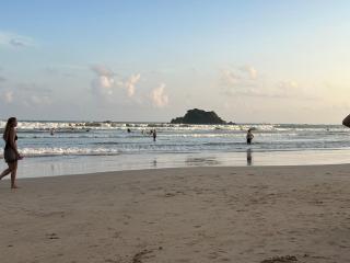 Mich's Surf Villa & Hostel - Weligama - 2