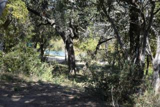 Texas Hill Country Vintage Caravan Glamping - Marble Falls - 6