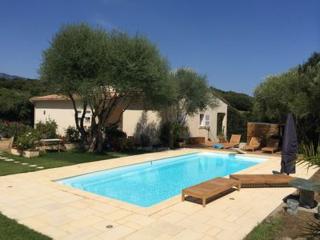 La Villa Arghia ,piscine privée Porto Vecchio - Porto-Vecchio - 5