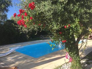 La Villa Arghia ,piscine privée Porto Vecchio - Porto-Vecchio - 7