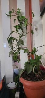 Padmavathi Enterprises - Bangalore - 3