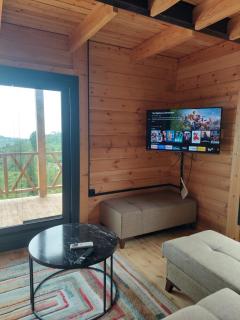 Trabzon Çamlıca Bungalov - Trabzon - 2