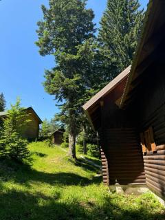 Planinska kućica - Jezera - 7