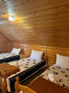 Planinska kućica - Jezera - Žabljak - 6