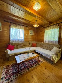Planinska kućica - Jezera - Žabljak - 0