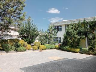 Avi-Pension - Addis Abeba - 7
