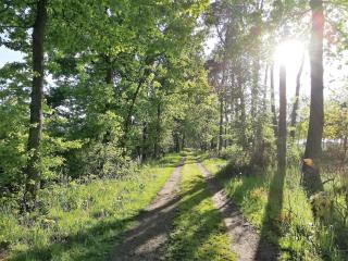 Vakantiewoning in 't groen-Lille - Lille - 9