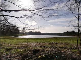 Vakantiewoning in 't groen-Lille - Lille - 1
