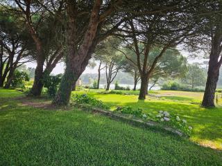 Hotel studio, Anglet Chiberta ocean golf surf - Anglet - 2