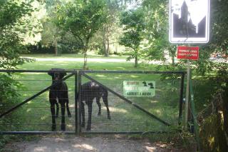 Chambres d'hôtes MoulinDT - 4