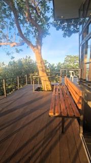 Muddy South Mountain Retreat - - 4