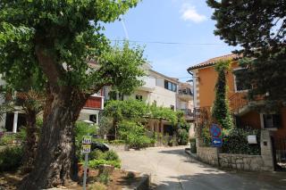 Apartments Sunny Flower - Funtana - 0