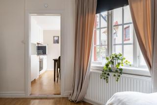 Cozy studio in separate building - 7