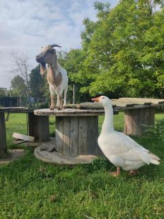 Gîte Côte Fleurie, 2 à 4 personnes, La Ferme de Valambray - - 1