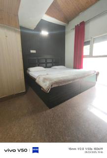 Havemore guest house & restaurant - Solan - 5