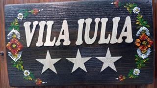 Vila Iulia Busteni - Buşteni - 8