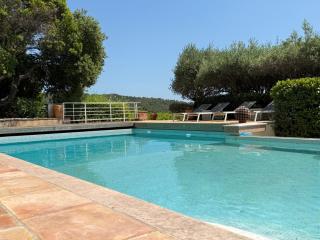 Villa La Londe-les-Maures au milieu des vignes - La Londe-les-Maures - 1