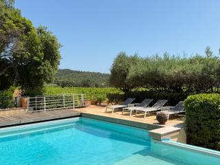 Villa La Londe-les-Maures au milieu des vignes - La Londe-les-Maures - 2