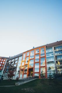 Tropical scandinavian 5-bed aparts by the airport Vantaa Martinlaakso - Vantaa - 4