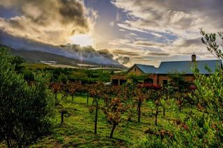 Vineyard Views Country House - Riebeek-Kasteel - 0