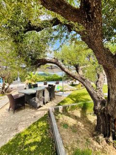 location saisonniére -Bas de villa Taradeau - Taradeau - 8