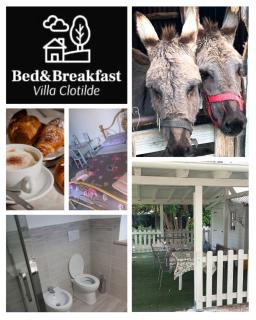 Bed&Breakfast VillaClotilde - Civitanova Marche - 2