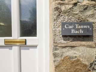 Cae Tanws Bach - Dolgellau - 7