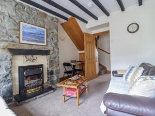 Cae Tanws Bach - Dolgellau - 6