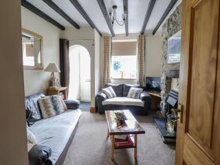 Cae Tanws Bach - Dolgellau - 4