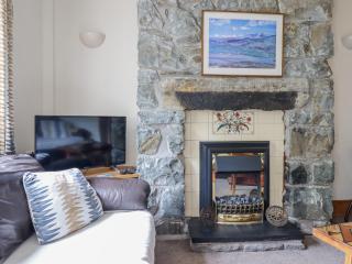 Cae Tanws Bach - Dolgellau - 5