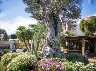 Villa Can Cardona Sea views Perfect 4 families - Madrid - 8
