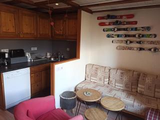 Paradiski bordure de pistes vallandry - 0