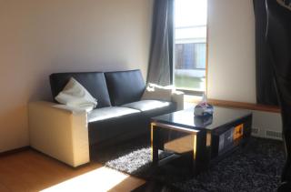 Cozy One Room Apartment - Roskilde - 0