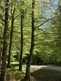 Tuscany Nature Relax - Pieve Santo Stefano - 1