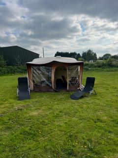 Redwoods Retro Caravans - Almer - 9
