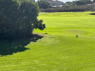 HH6 Goose Valley Estate - Vosburg - 6