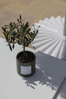 Résidence Omigna - 1