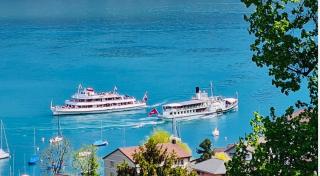 Villa Lakeview Appartment Tomori - Leissigen - 9