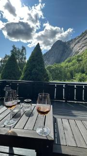 Luxury family house "Berg" with outdoor sauna, hot tub and lake view - Øvre Ramse - 3