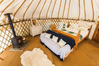 Chestnut - Yurt - Slane - 9