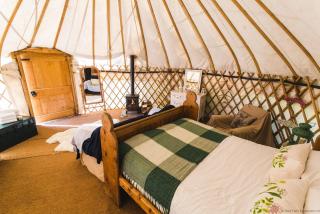 Chestnut - Yurt - Slane - 8