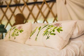 Chestnut - Yurt - Slane - 6