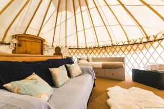 Chestnut - Yurt - Slane - 5