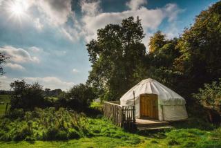 Chestnut - Yurt - Slane - 0