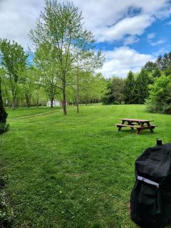 Charming Creekside Log Cabin with Wood Burning Stove Overlooking the Neshannock Creek, Western PA - Volant - 5