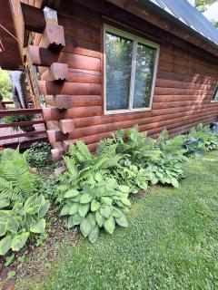 Charming Creekside Log Cabin with Wood Burning Stove Overlooking the Neshannock Creek, Western PA - Volant - 2